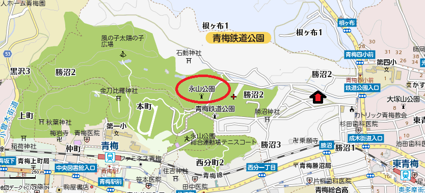 kokoko