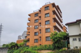 ダイアパレス東青梅第2_305号室_20250611_1_0829949