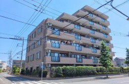 ライオンズマンション河辺東_704号室_20250618_9_0831483